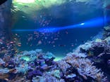 サンシャイン水族館に投稿された画像（2021/12/4）