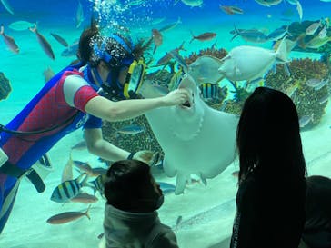 サンシャイン水族館に投稿された画像（2021/12/4）