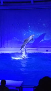 アクアワールド茨城県大洗水族館に投稿された画像（2021/12/4）