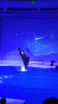 アクアワールド茨城県大洗水族館に投稿された画像（2021/12/4）