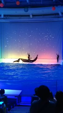 アクアワールド茨城県大洗水族館に投稿された画像（2021/12/4）