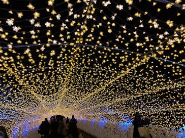 東京メガイルミに投稿された画像（2021/12/4）