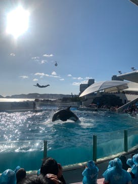 鴨川シーワールドに投稿された画像（2021/12/4）