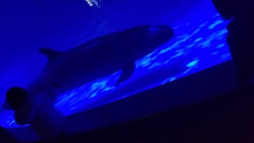 アクアワールド茨城県大洗水族館に投稿された画像（2021/12/4）