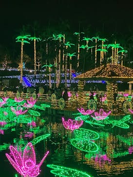 美らヤシパークオキナワ・東南植物楽園に投稿された画像（2021/12/4）