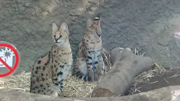 神戸どうぶつ王国に投稿された画像（2021/12/4）