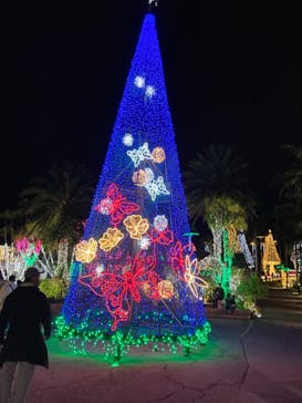 美らヤシパークオキナワ・東南植物楽園に投稿された画像（2021/12/4）