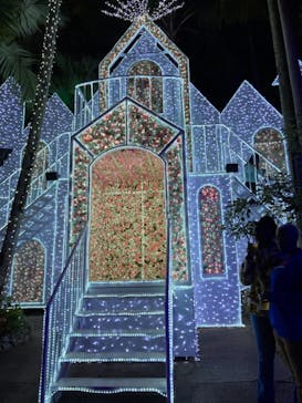 美らヤシパークオキナワ・東南植物楽園に投稿された画像（2021/12/4）