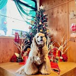 わんダフルネイチャーヴィレッジに投稿された画像（2021/12/5）