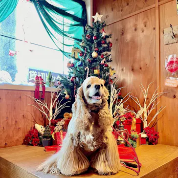 わんダフルネイチャーヴィレッジに投稿された画像（2021/12/4）