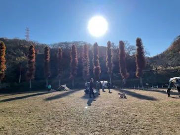 わんダフルネイチャーヴィレッジに投稿された画像（2021/12/4）