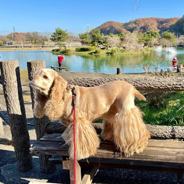 わんダフルネイチャーヴィレッジに投稿された画像（2021/12/4）