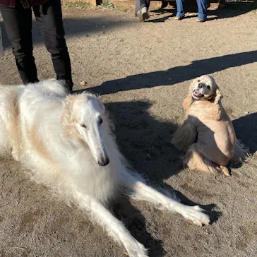 わんダフルネイチャーヴィレッジに投稿された画像（2021/12/4）