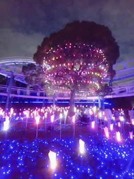 ひらかたパークに投稿された画像（2021/12/4）