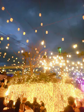 ひらかたパークに投稿された画像（2021/12/4）