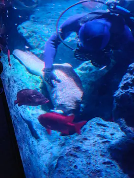 すみだ水族館に投稿された画像（2021/12/4）