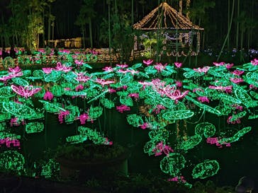 美らヤシパークオキナワ・東南植物楽園に投稿された画像（2021/12/4）