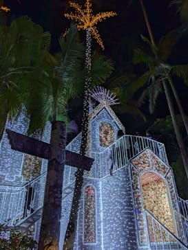 美らヤシパークオキナワ・東南植物楽園に投稿された画像（2021/12/4）