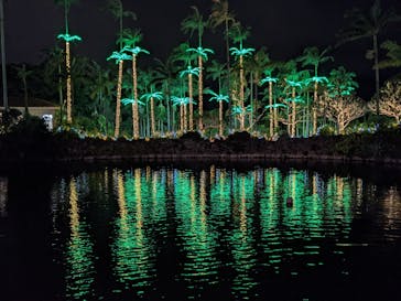 美らヤシパークオキナワ・東南植物楽園に投稿された画像（2021/12/4）