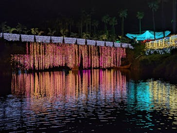 美らヤシパークオキナワ・東南植物楽園に投稿された画像（2021/12/4）