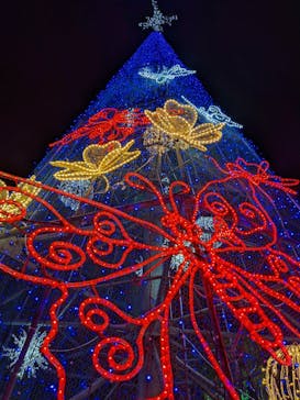 美らヤシパークオキナワ・東南植物楽園に投稿された画像（2021/12/4）