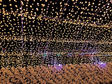 東京メガイルミに投稿された画像（2021/12/4）