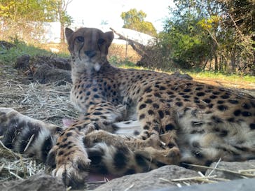 よこはま動物園ズーラシアに投稿された画像（2021/12/4）