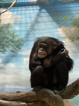 よこはま動物園ズーラシアに投稿された画像（2021/12/4）