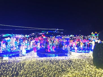 伊豆ぐらんぱる公園に投稿された画像（2021/12/4）