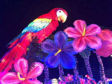 伊豆ぐらんぱる公園に投稿された画像（2021/12/4）