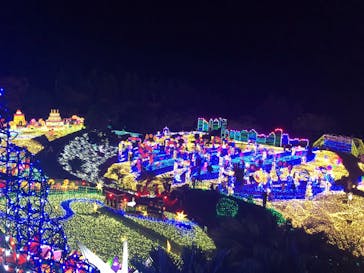 伊豆ぐらんぱる公園に投稿された画像（2021/12/4）