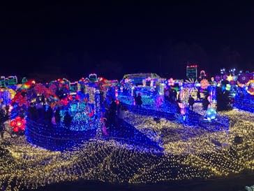 伊豆ぐらんぱる公園に投稿された画像（2021/12/4）