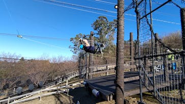 伊豆ぐらんぱる公園に投稿された画像（2021/12/4）