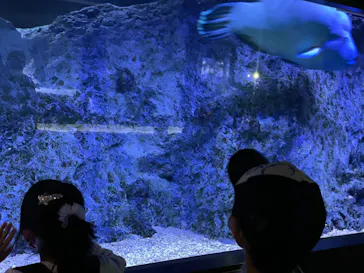 すみだ水族館に投稿された画像（2021/12/5）