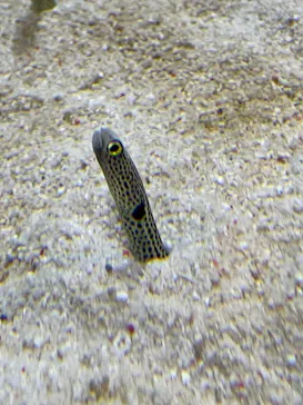 すみだ水族館に投稿された画像（2021/12/5）