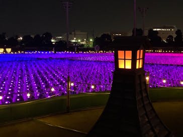 東京メガイルミに投稿された画像（2021/12/5）