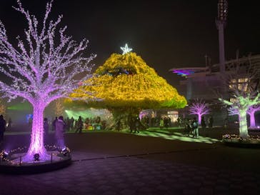 東京メガイルミに投稿された画像（2021/12/5）