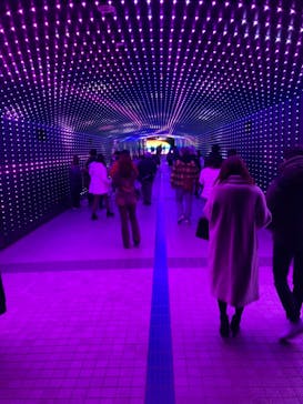 東京メガイルミに投稿された画像（2021/12/5）