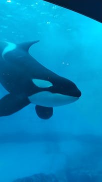名古屋港水族館に投稿された画像（2021/12/5）
