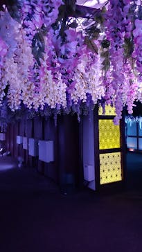 東京メガイルミに投稿された画像（2021/12/5）