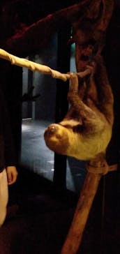 カワスイ 川崎⽔族館に投稿された画像（2021/12/5）