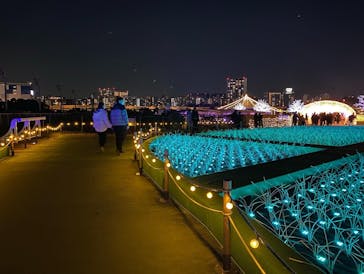 東京メガイルミに投稿された画像（2021/12/5）