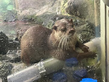 伊豆シャボテン動物公園に投稿された画像（2021/12/5）
