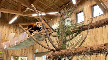 伊豆シャボテン動物公園に投稿された画像（2021/12/5）