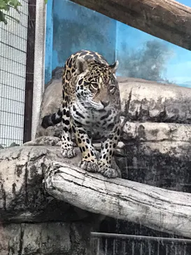 天王寺動物園に投稿された画像（2021/12/5）