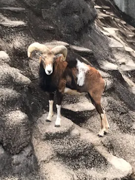 天王寺動物園に投稿された画像（2021/12/5）