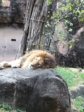 天王寺動物園に投稿された画像（2021/12/5）