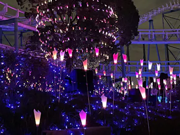 ひらかたパークに投稿された画像（2021/12/5）