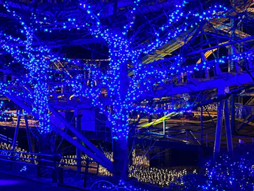 ひらかたパークに投稿された画像（2021/12/5）