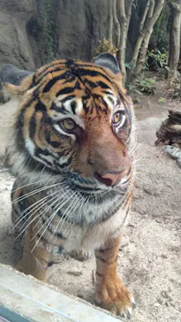 神戸どうぶつ王国に投稿された画像（2021/12/5）